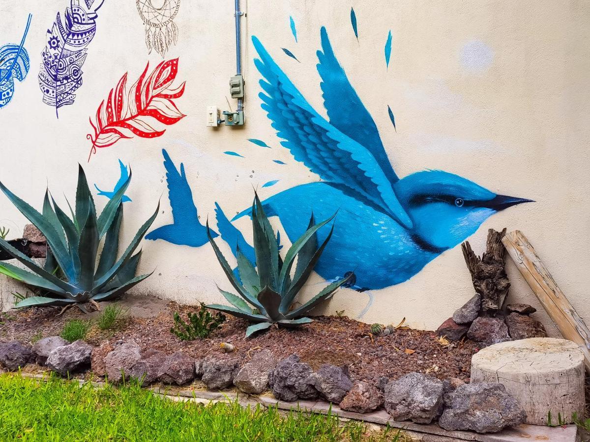 Hostal Casa Los Abuelos Cuatrociénegas de Carranza Esterno foto